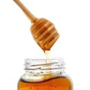 와이디짐 이미지