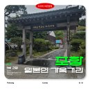 똥강쥐 | 포항 여행 구룡포 일본인 가옥거리가볼만할까? 입장료, 주차장까지 정리!