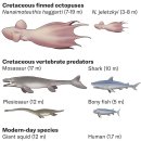 GIANT&PLAY ZONE 이미지