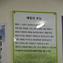 ** [ 신정역 / 면 종류] " 봉평 메밀 막국수 " 를......소개 합니다~!! 이미지