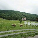 화순목장 이미지