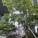 브라이튼 아파트 앞 | 여의도 젤라또 | 젤라떼리아도도 여의도점, 브라이튼 주민의 숨은 아지트 벤치까지