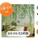테무에게 당한 엄마 ㅋㅋㅋㅋㅋ.jpg 이미지
