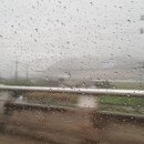 송이네민박 이미지