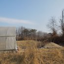 대죽목장 이미지