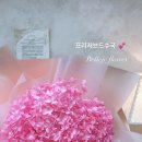 벨르제플라워