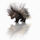 Awareness move 이미지