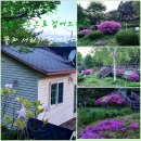 산골마당 이미지