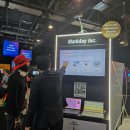 애니얼라인 이미지