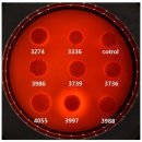 국립낙동강생물자원관 이미지