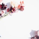 스텔라여성의원 네이버블로그