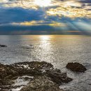 양남주상절리 이미지