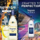 진인터내셔널 이미지