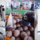 용인대석사청구태권도장 이미지