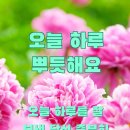 ♠ 할매와 택시 3탄-보고도봐도 좋은글 중에서 이미지
