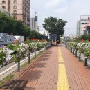 시흥대로 이미지