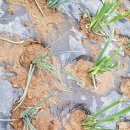 신정농장 이미지