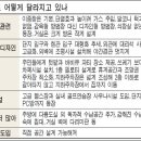 아파트는 진화중 ‥ 호텔식 대리석기둥·보일듯 말듯 수납장 등 이미지