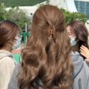 진헤어염색