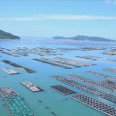 완도전복사료 이미지