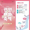 신원청연마을 | 2026년 광양매화꽃축제 주말 방문후기 ( 일정 매화만개시기 주차장명당 셔틀버스 )