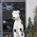 라임기획 | 용인대형카페 5000평 정원 라임그라스에서 비오는 날 특별한 브런치