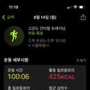 독산 팀타이거 복싱짐 이미지