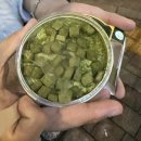 지에스25 연희진성점 | 과자 9종과 저당 말차 초코볼 아몬드부터 투썸플레이스, 디저트 39까지 말차 디저트 솔직 후기 및 추천