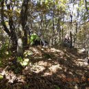 큰골목장 이미지