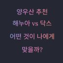 닥스 종합 | 양우산 추천 2025 | 해누아 vs 닥스, 직접 써보고 비교해봤어요