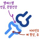 백세약국 이미지