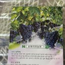 윤화농장 네이버블로그