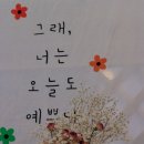 하늘에서나리다 이미지
