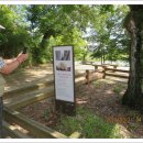 메기대감 이미지