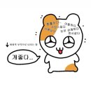 미스터카츠숙대 | 😪