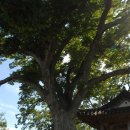 돌모루 3 이미지