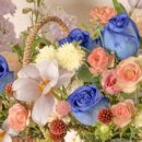 매일 꽃 이미지