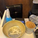 청계산갈비살 | 강남구청역 맛집 <청계산 갈비살> 후기