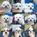 랄라펫살롱 이미지
