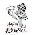 용인대 흑호 태권도장 이미지