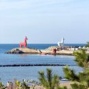 18코스 | 2025 제주올레 걷기축제 꼬닥꼬닥올레 1일차 / 올레길 17, 18코스 후기