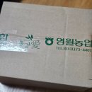 해성농장 | [후기] 카페인없는 국산 비타민나무잎차 (feat. 빵순이 당조절 차)