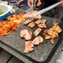 오토 오아시스 이미지