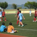 영암공설운동장 이미지