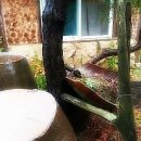 월악산 산아래 이미지