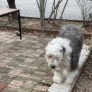 평천로74번길 이미지