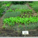 봉산농장 이미지