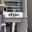 [삼천포 사천 두피관리 : 사벳헤어앤뷰티