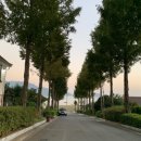 메릴랜드맨션 이미지