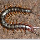 별고을테마파크 | 성주 별고을테마파크 이용 리얼 후기